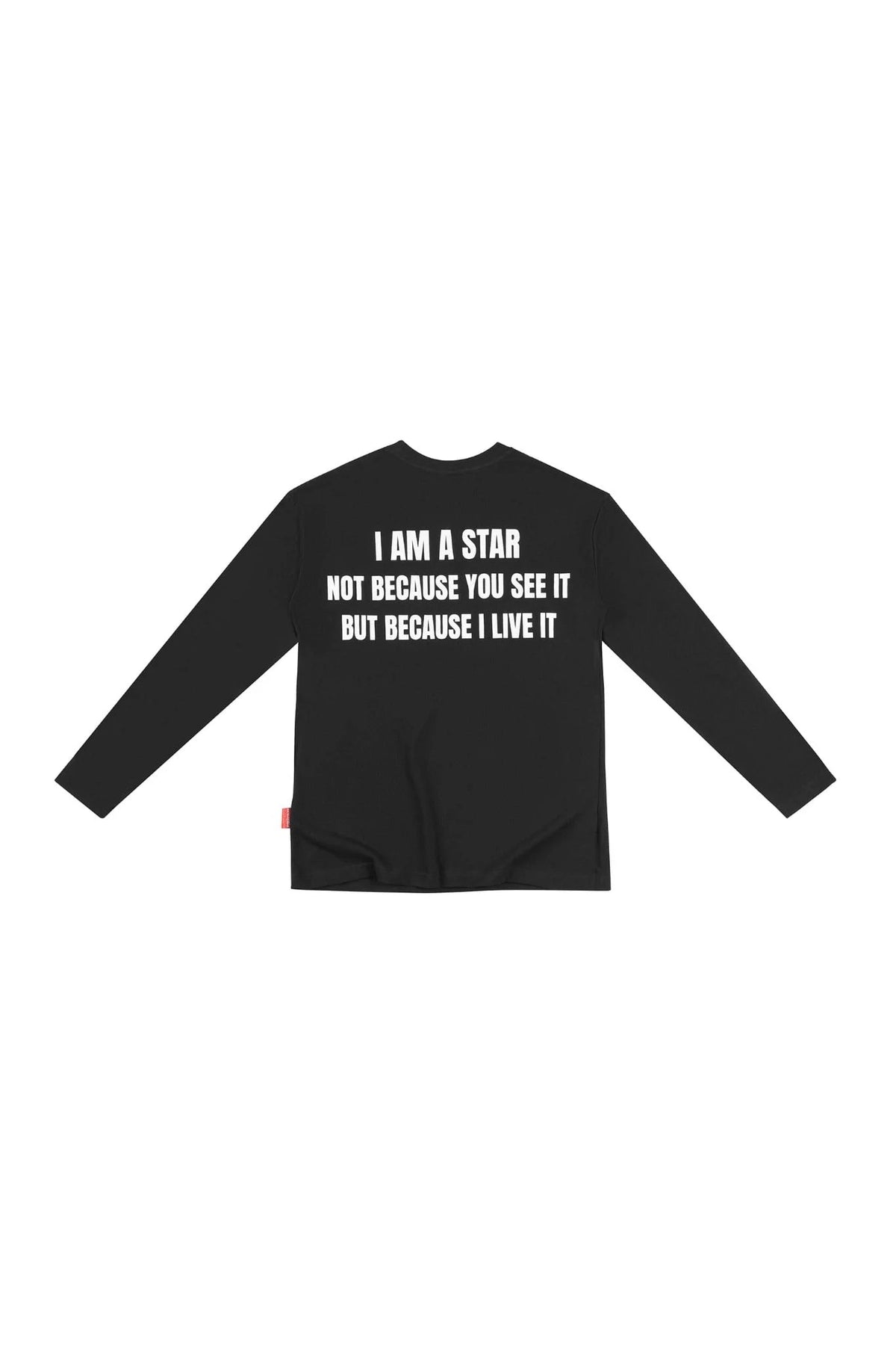 BLACK STARMANIFESTOBACK