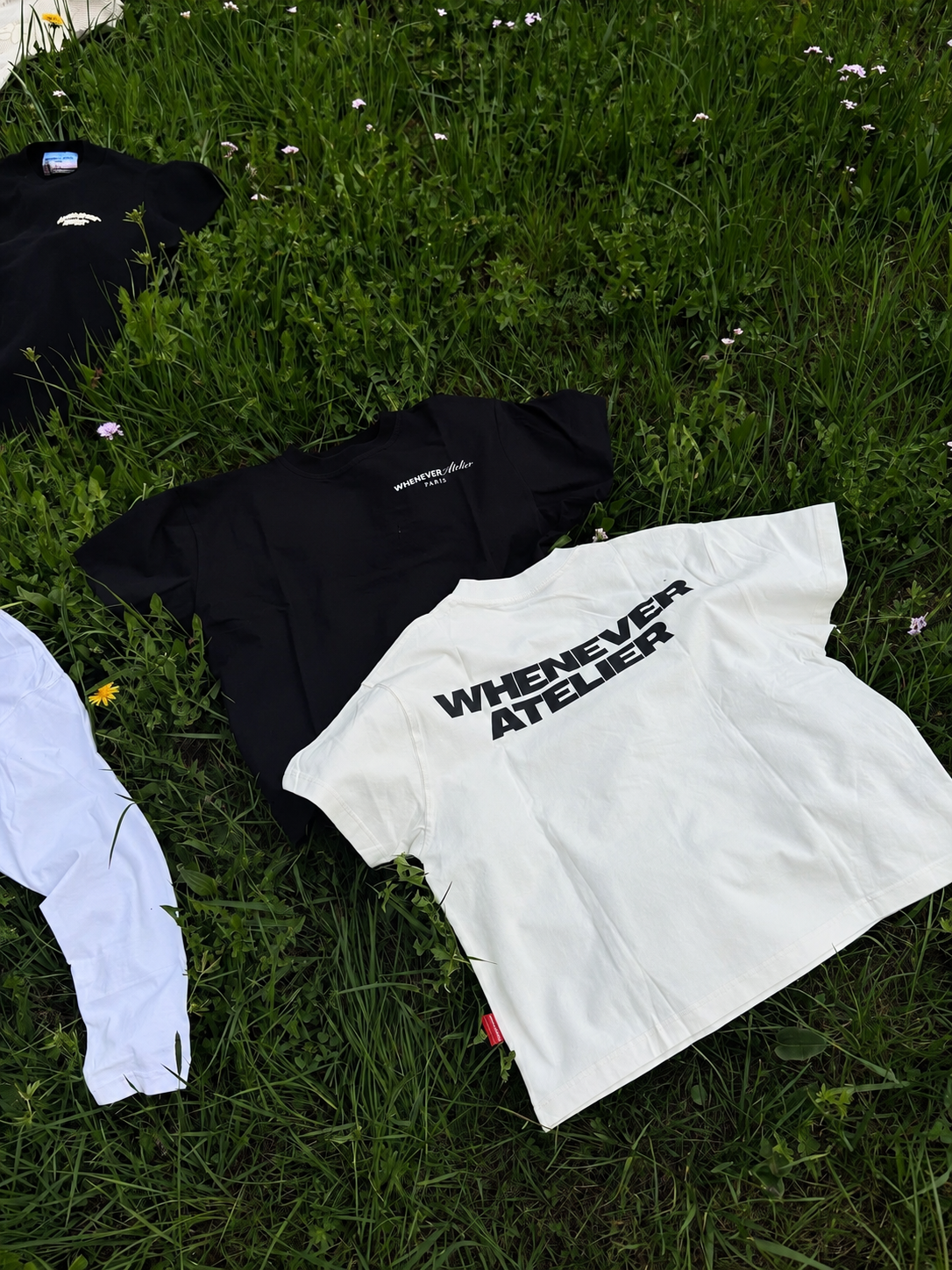 WHITE LOGOSS26GROUND